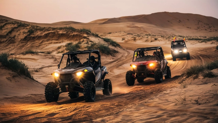evening buggy safari tour