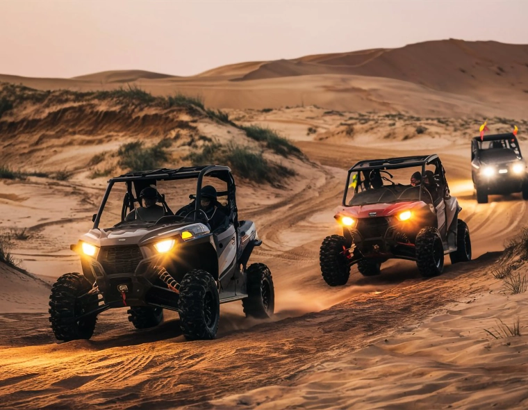 evening buggy safari tour